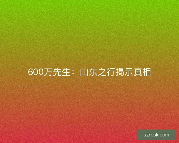 600万先生：山东之行揭示真相